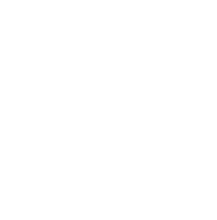 Google Licht