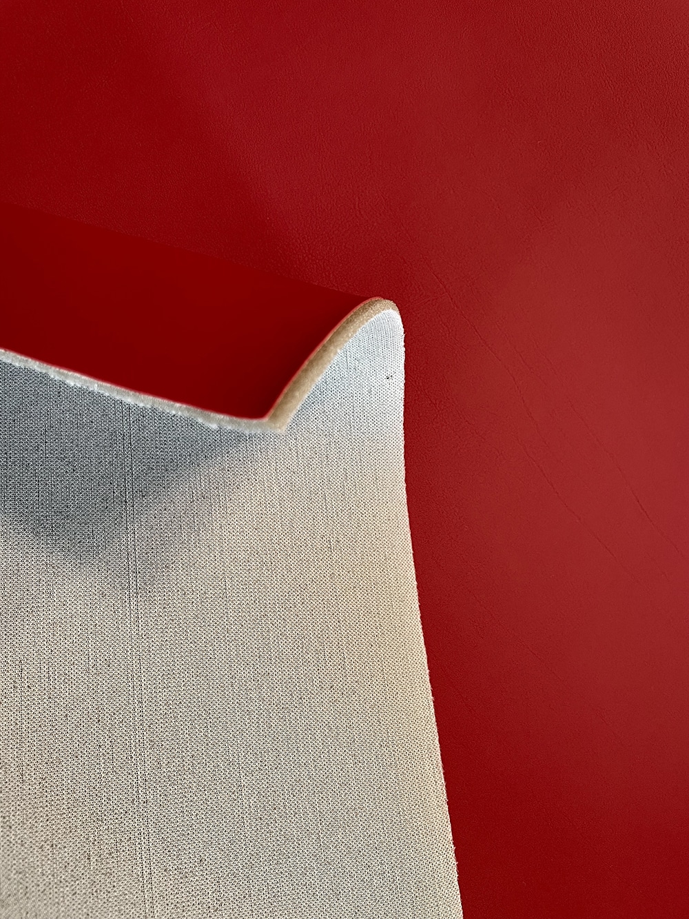 366110 Cuero Artificial Recaro 4